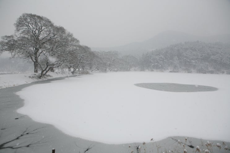  겨울반곡지