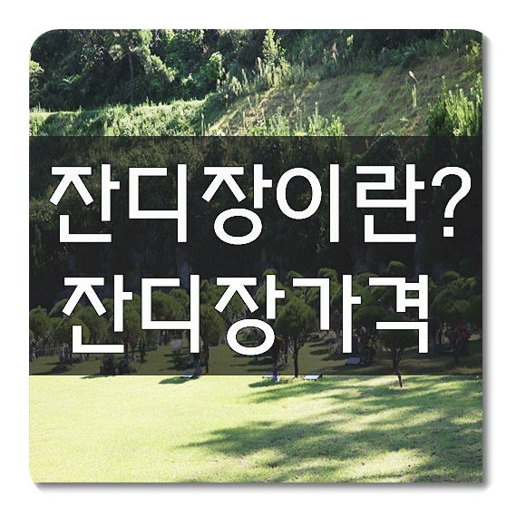잔디 가격과 비용에 대해 알아보자!
