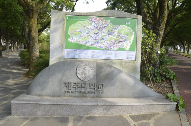  제주대박물관 -배근휘