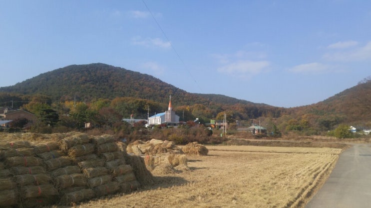 추수감사절 추수감사절