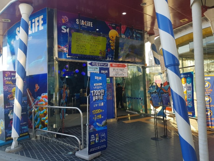  부산여행 부산아쿠아리움 해운대여행 코스 부산 가볼만한 곳 해운대 아쿠아리움 후기/북치는떵쥬