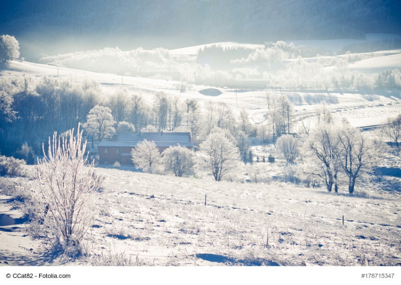 아름다운 겨울 풍경 배경화면