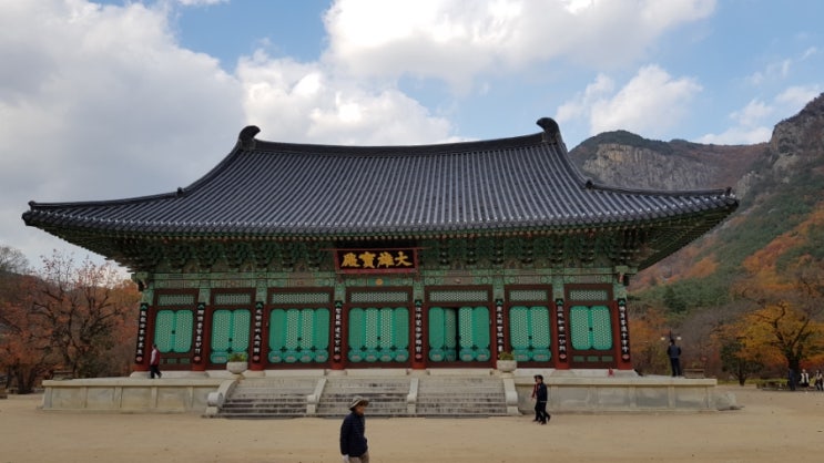  청도 운문사 1