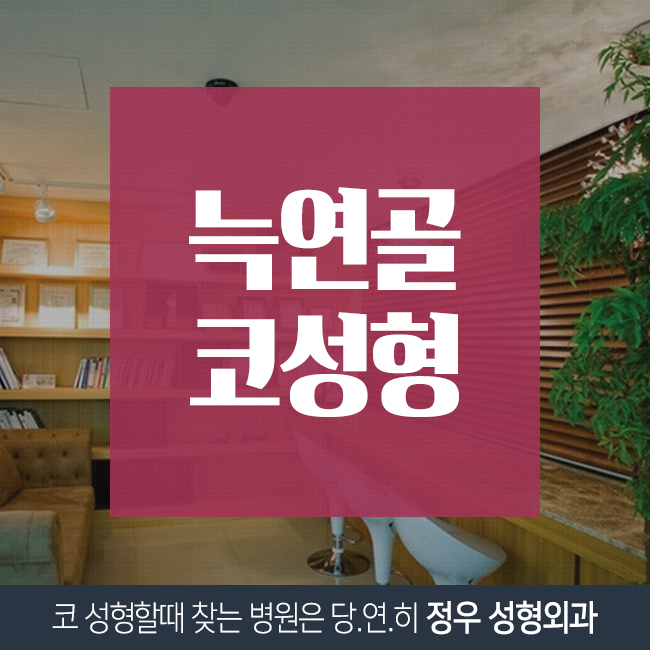  늑연골 코성형 정.우.성.형.외.과