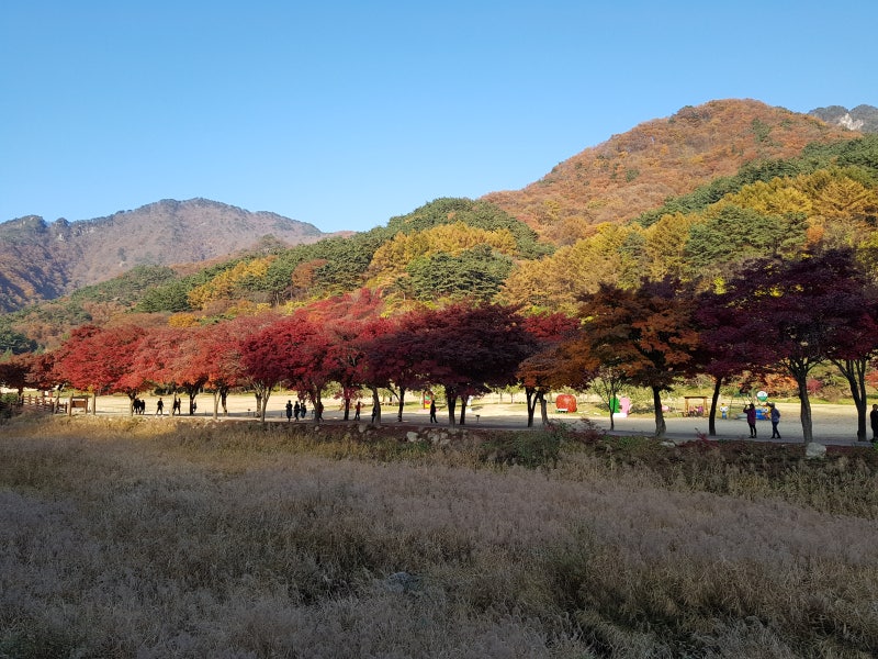 가을여행 #한국관광100선 #문경새재 가을 풍경 (74) : 네이버 블로그