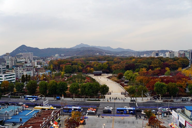 서울 종로구 장사동 세운상가 옥상 - 종묘 조망점