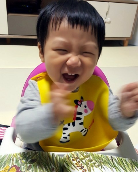  15개월 아기. 고집과 불통 사이