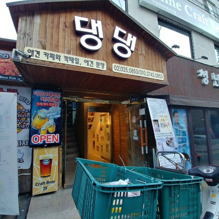  신촌역 애견카페 댕댕 :: 애견카페 추천!