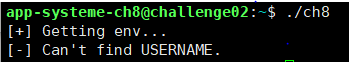  ELF x86 - Stack buffer overflow basic 4