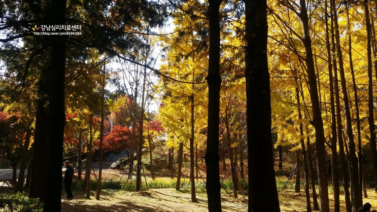  서울 명소, 서울숲 공원에서 멋진 가을풍경 사진 찍어요~