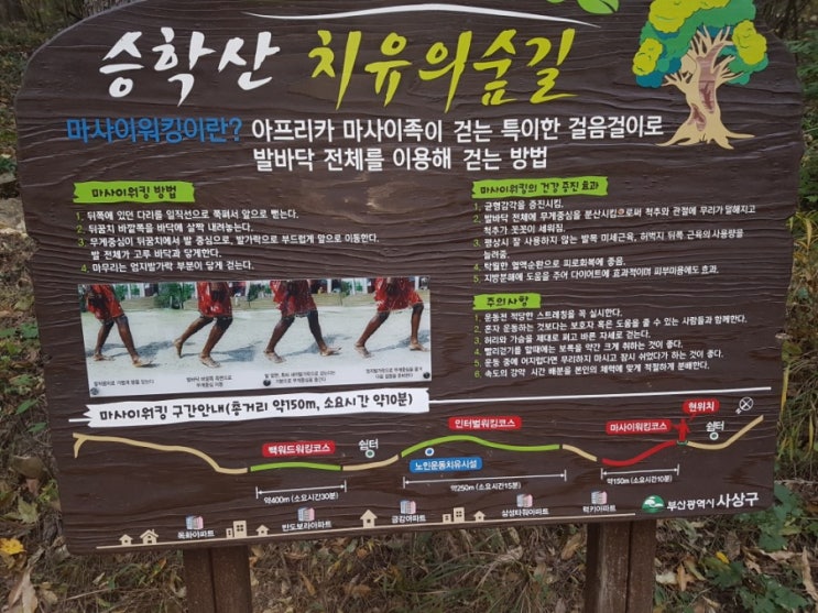 마사이워킹으로 승학산둘레길 걸어보기