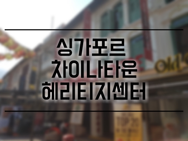  [싱가포르] 싱가포르 차이나타운 헤리티지 센터