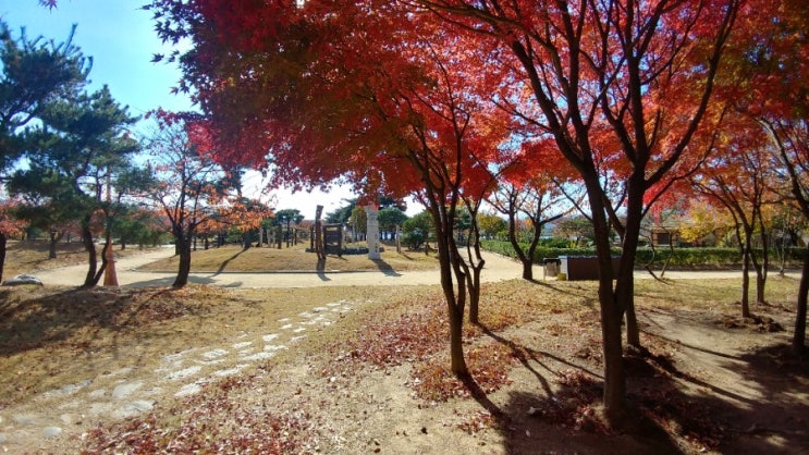 [행복] 늦가을 동락공원