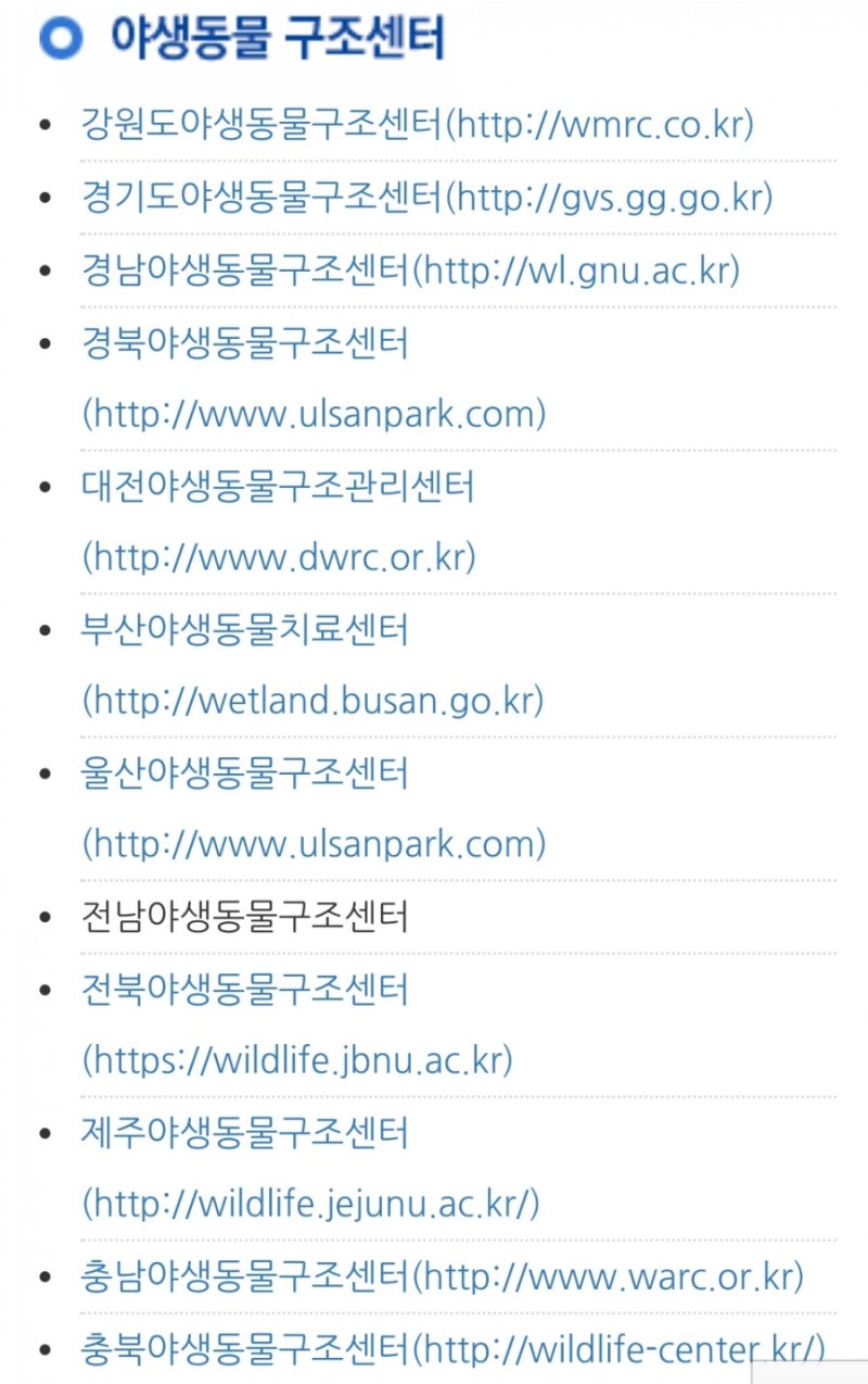 야생 너구리 구조 : 네이버 블로그, image size:800x1274