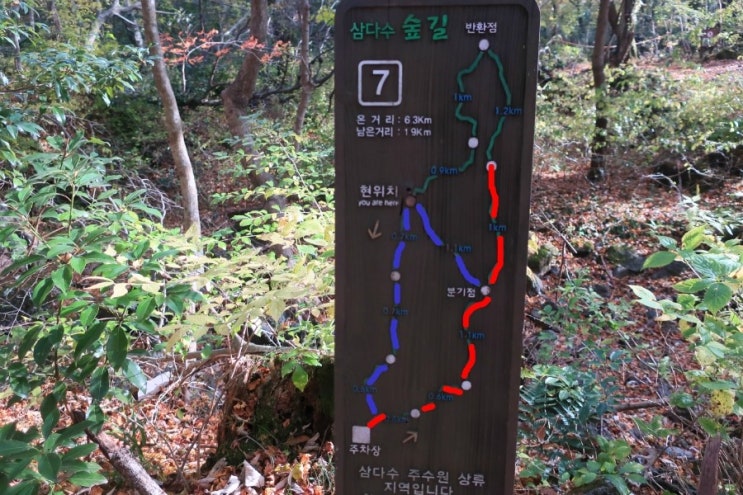 삼다수림길에도 육지 못지않은 단풍길이 있었네!