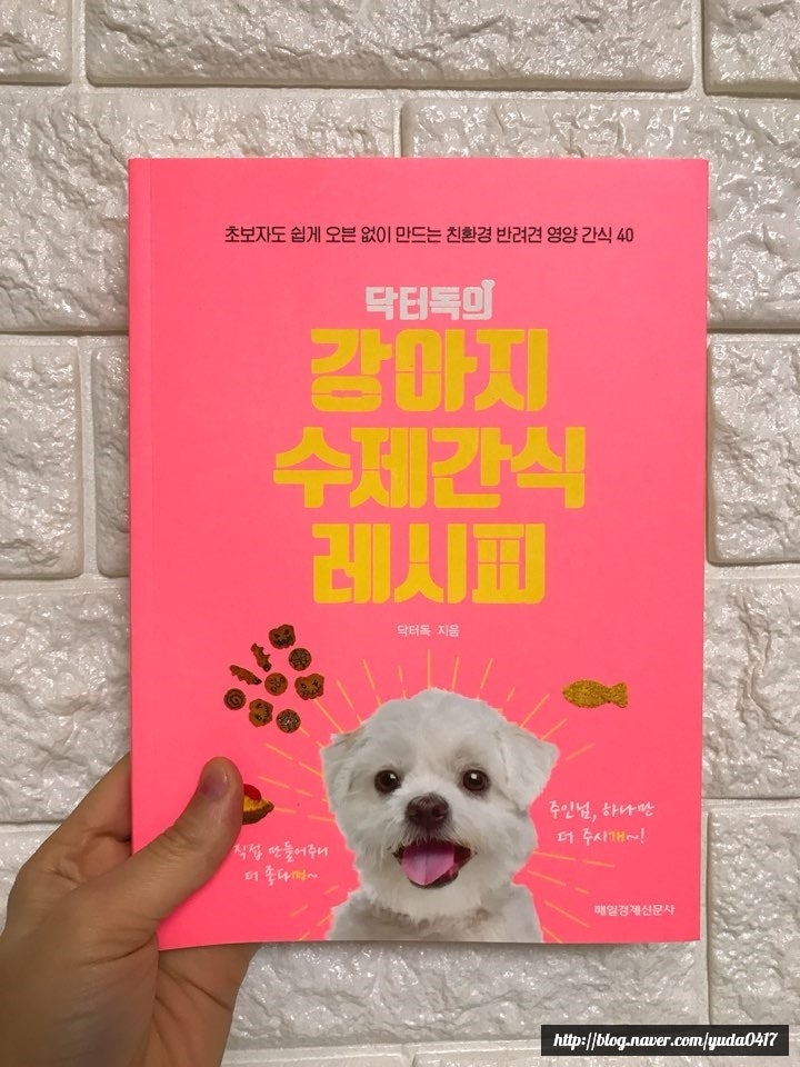 [책] 닥터독의 강아지 수제간식 레시피