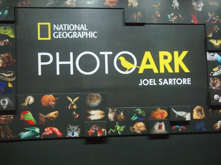 Photo Ark: 동물들을 위한 방주
