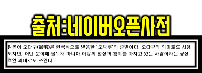 오타쿠의 의미는 긍정적인 의미일까? 부정적인 의미인가?