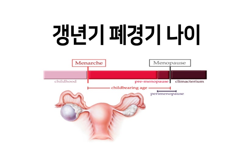 폐경기의 나이와 전조증상은 어떤 것들이 있을까?