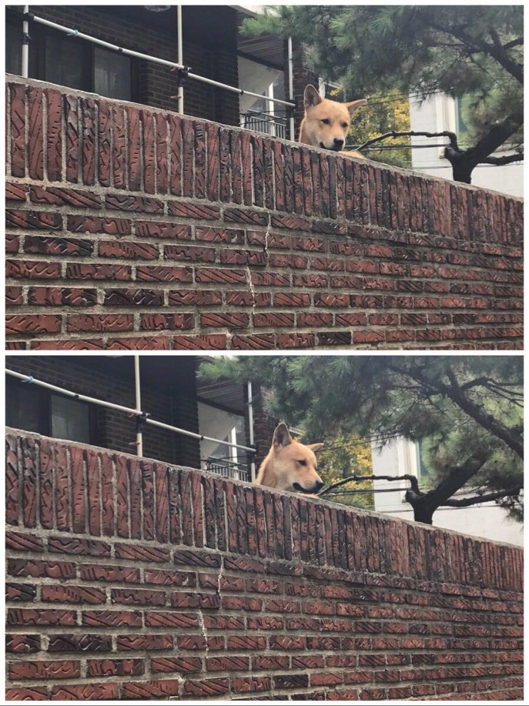 북한산 둘레길 21코스