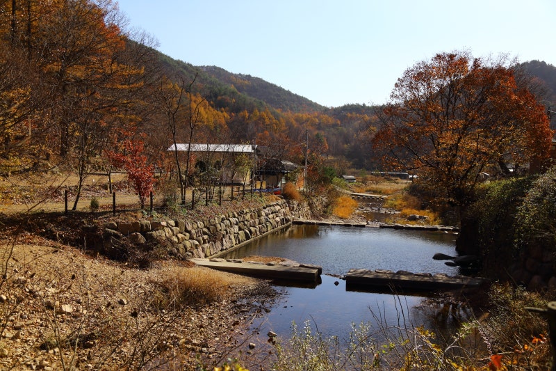 경북 상주 청계산 맑고 깨끗한 청계사 계곡과 단풍 그리고 견훤사당 ...