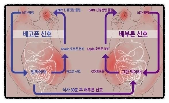 잘못된 해석의 예시