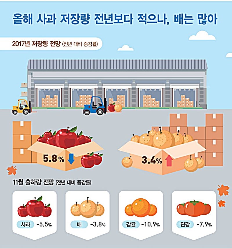 17년 사과생산량 사과가격 전망은 어떨까요