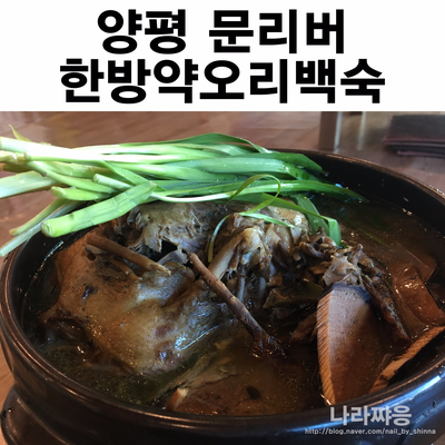  양평 문리버 뿌시기!한방오리백숙 이영자 맛집