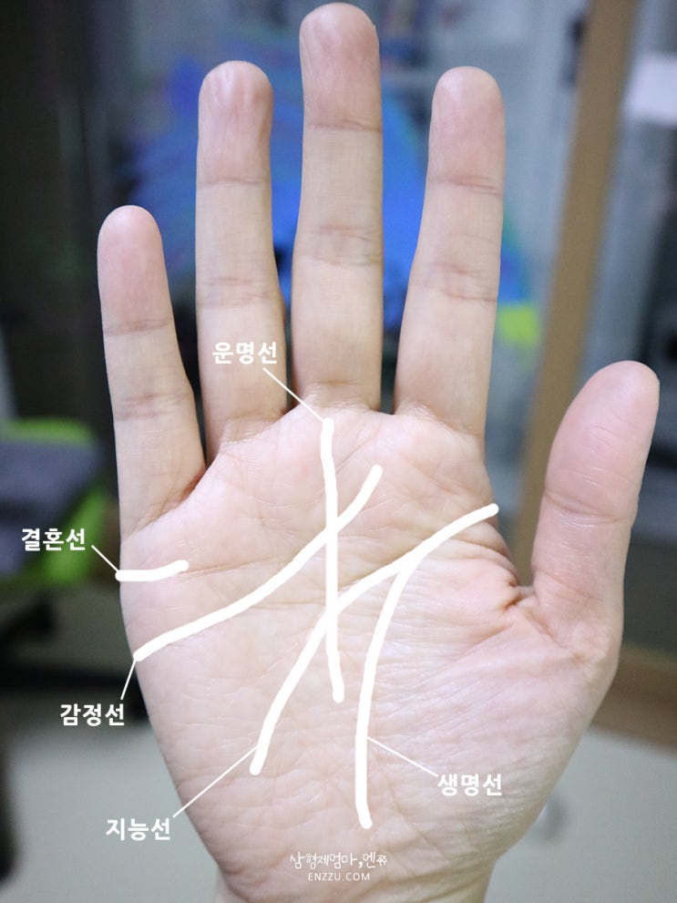  여자 손금보는법 나는 ㅋㅋ