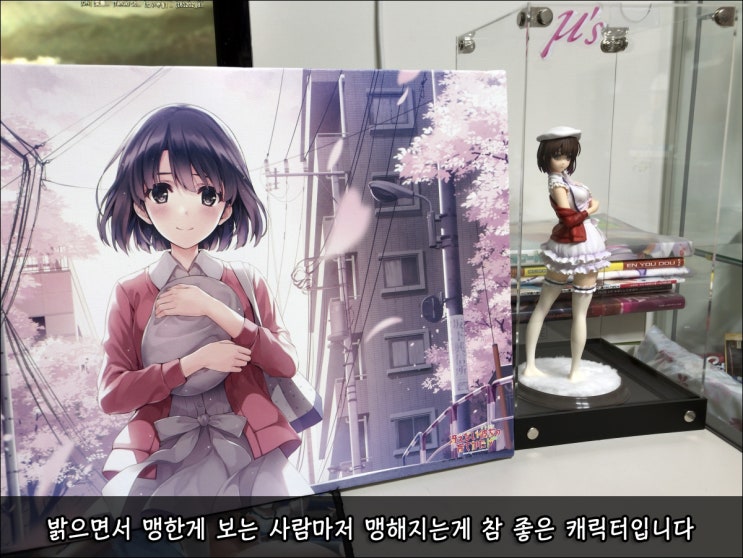  사에카노 캔버스