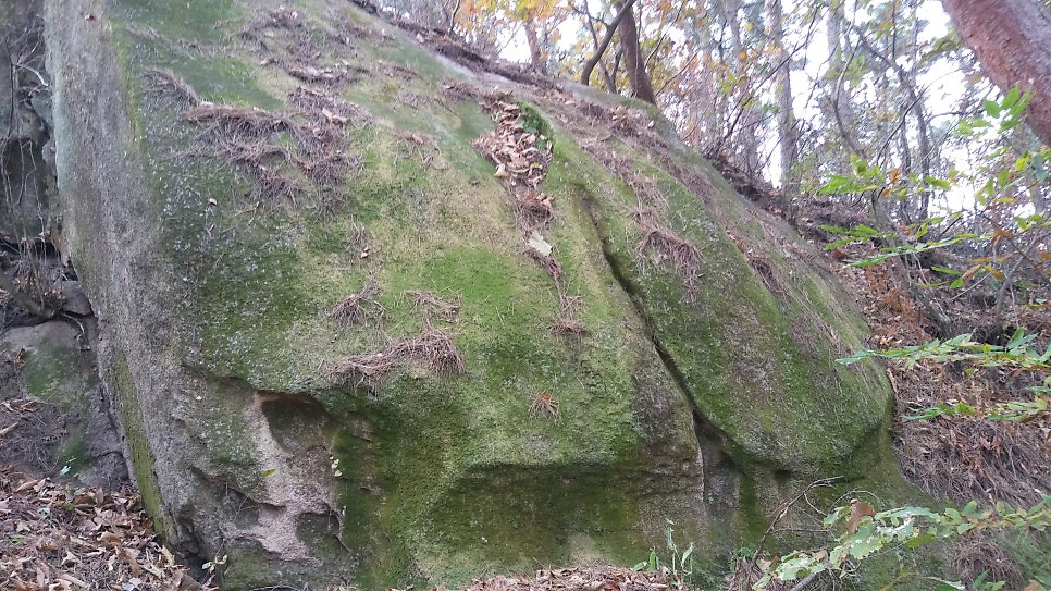 덩바위골 사진 3