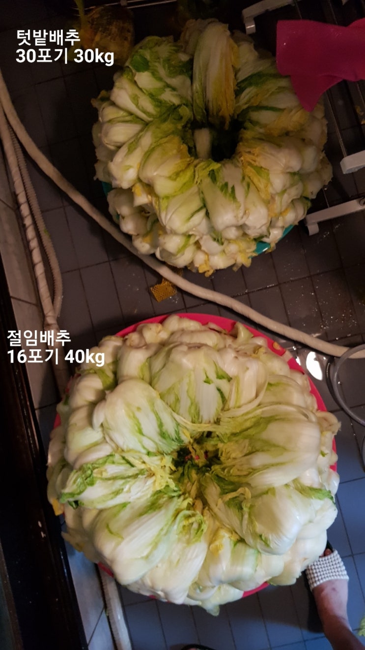  17년 주말농장 결산