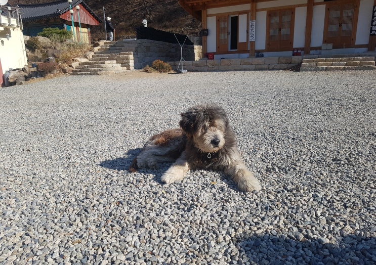  충북 영동 가볼만한곳:) 반야사 - 월류봉