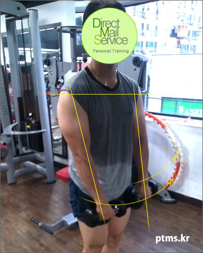 집에서 안성맞춤인 여자 어깨 운동 프론트 레이즈, 덤벨 - 바벨 이용 가능 집에서 안성맞춤인 여자 어깨 운동 프론트 레이즈, 덤벨 - 바벨 이용 가능