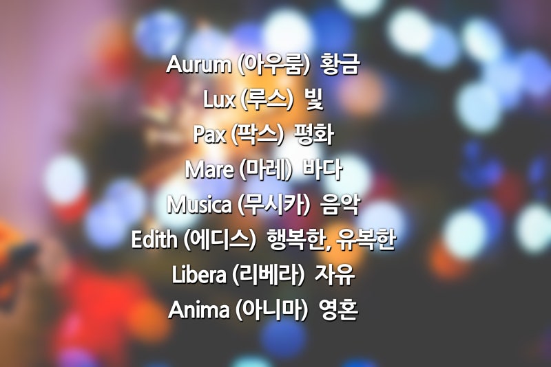 라틴어 예쁜단어 레터링하기 좋죠 : 네이버 블로그 라틴어 예쁜단어 레터링하기 좋죠 : 네이버 블로그