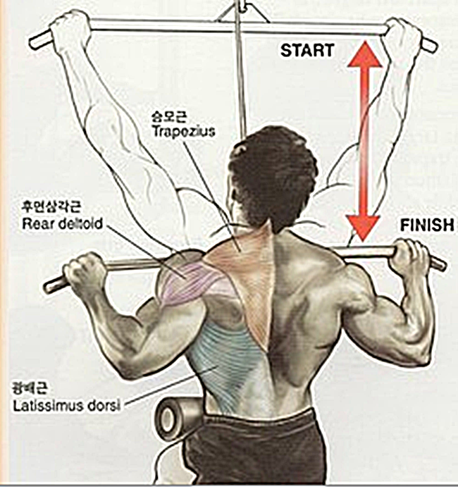 등 운동 :: 랫 풀 다운 (Lat pull down)올바른 자세와 잘못된 자세 ※영상첨부 : 네이버 블로그 등 운동 :: 랫 풀 다운 (Lat Pull Down)올바른 자세와 잘못된 자세 ※영상첨부 : 네이버 블로그