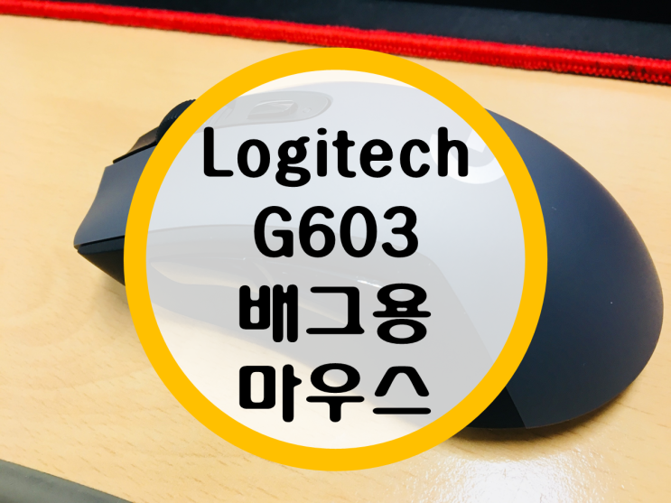 로지텍 G603 후기 (Logitech G603) 배그용 마우스