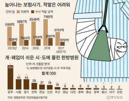 의료인 공모 보험사기 판치는데 .. 단속 사각지대