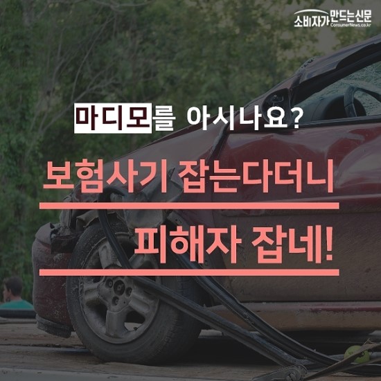 마디모를 아시나요?...보험사기 잡는다더니 피해자 잡네! 마디모를 아시나요?...보험사기 잡는다더니 피해자 잡네!