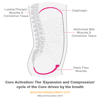 Core Activation: The Expansion and Compression cycle of the core