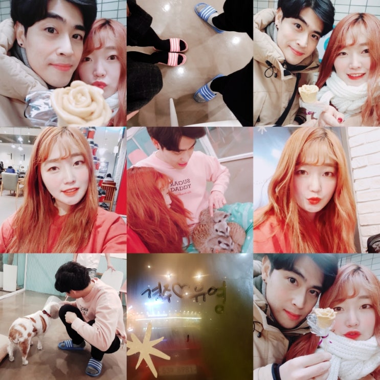  미어캣파크 대학로점 이색데이트코스 귀여운 미어캣과 라쿤보러 다녀왔어요