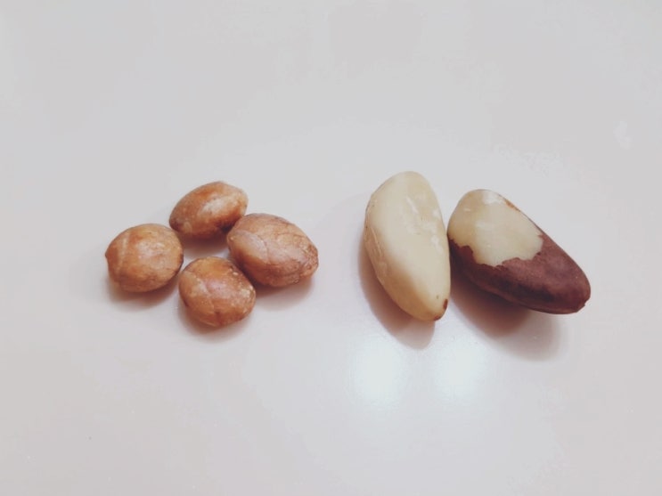 사차인치 브라질너트 효능은? 건강 위해 매일 챙겨먹는 슈퍼푸드 견과류