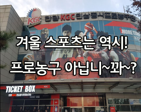  겨울 스포츠는 역시 프로농구 아닙니꽈~~!?