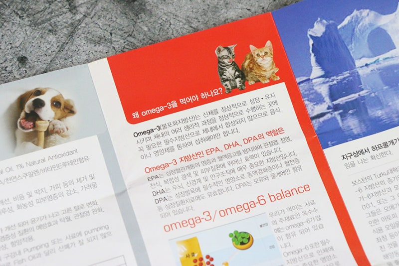 강아지 루테인 물개오일로 보충해요 3