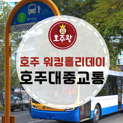  워홀 꿀팁 - 호주 브리즈번 대중교통