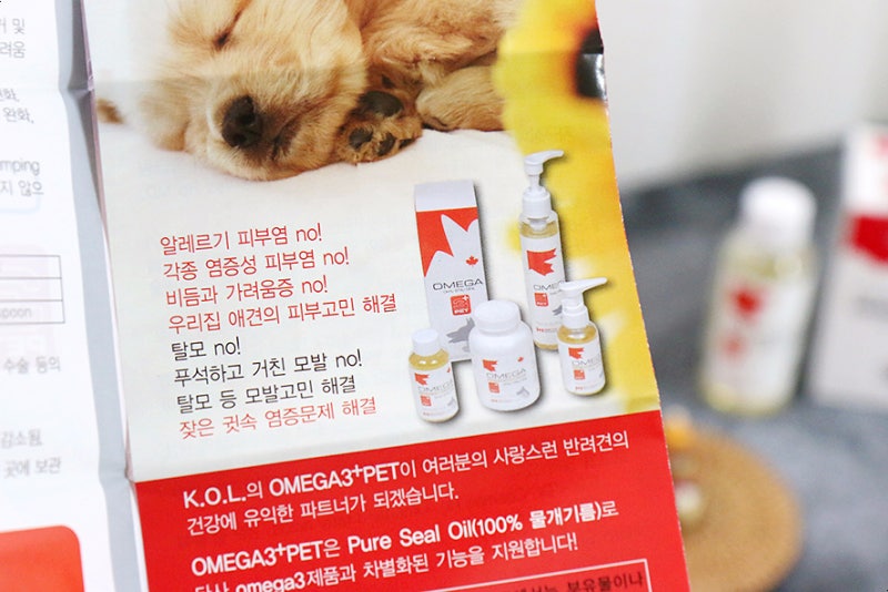 강아지 루테인 물개오일로 보충해요 1