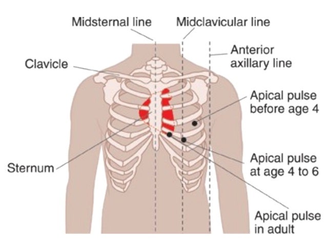  vital sign v s 