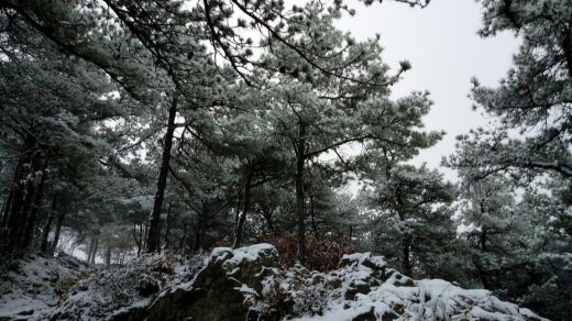 이른 아침 이천 망현산의 설경(2017.11.24)