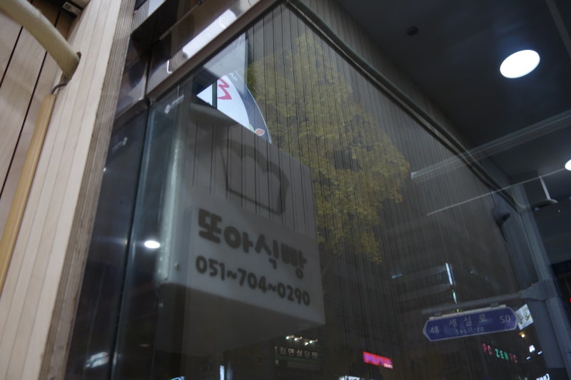 엔젤독스